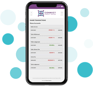 View Account Balances and Transactions